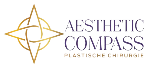 Aesthetic-Compass logo
